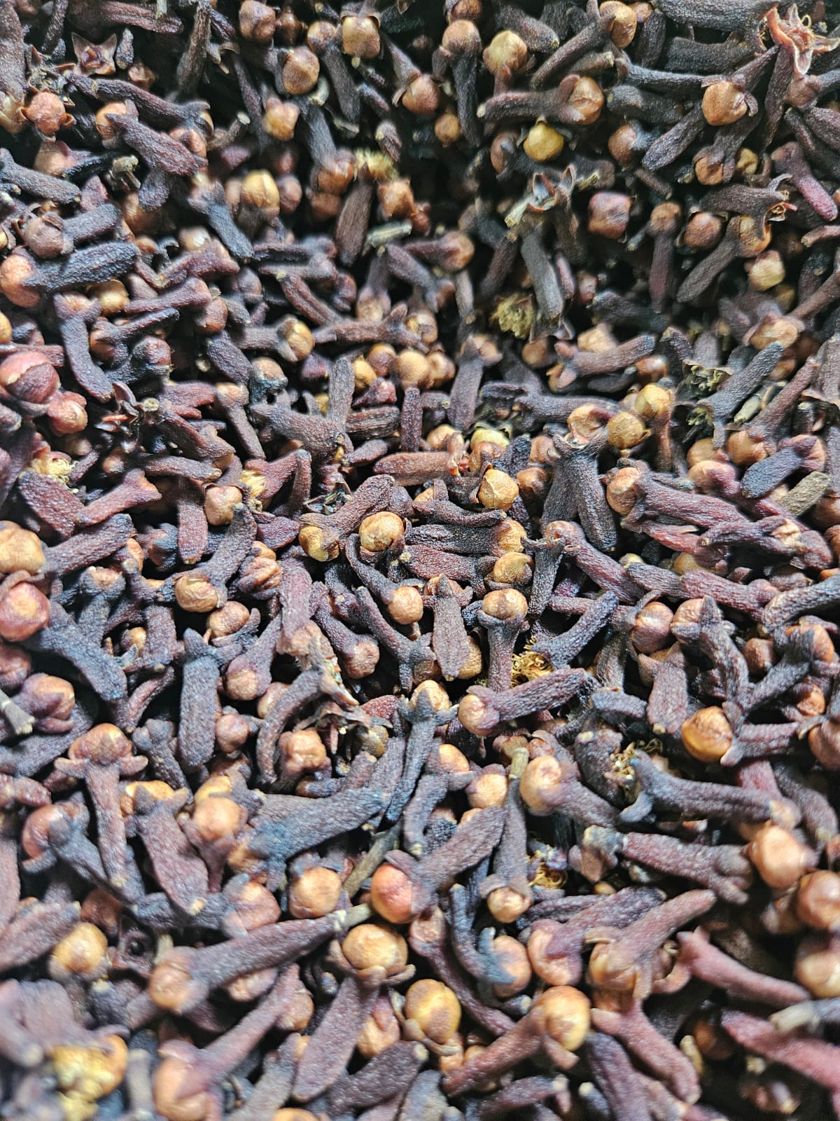 Clove Harvest & Sorting